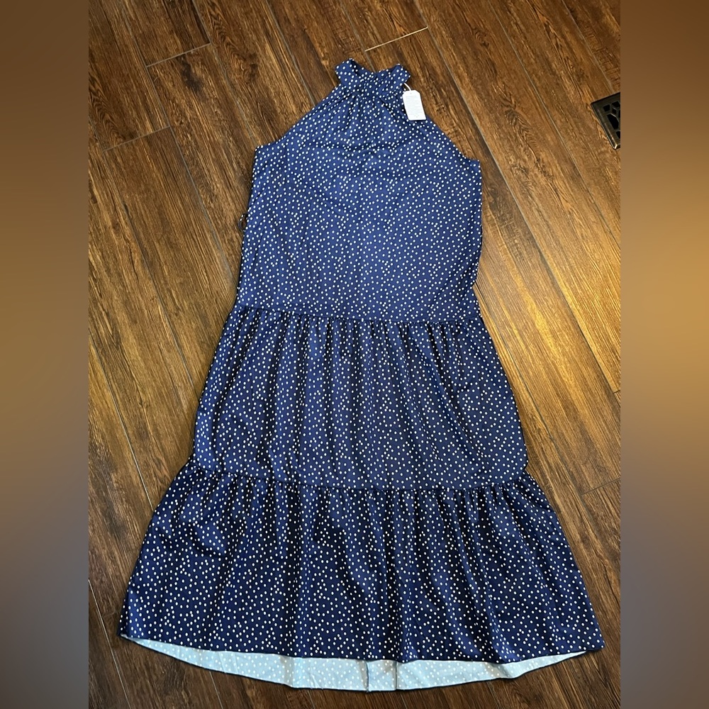 Maxi dress. NWT. No brand tag. No material tag. Size XXL. Blue/white polka dot.
